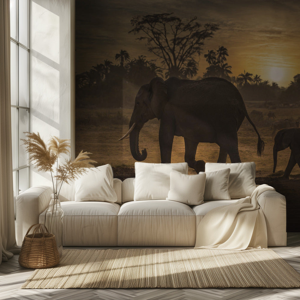 Follow me | Wallpaper