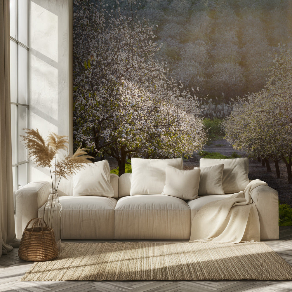 Golden Almonds | Wallpaper