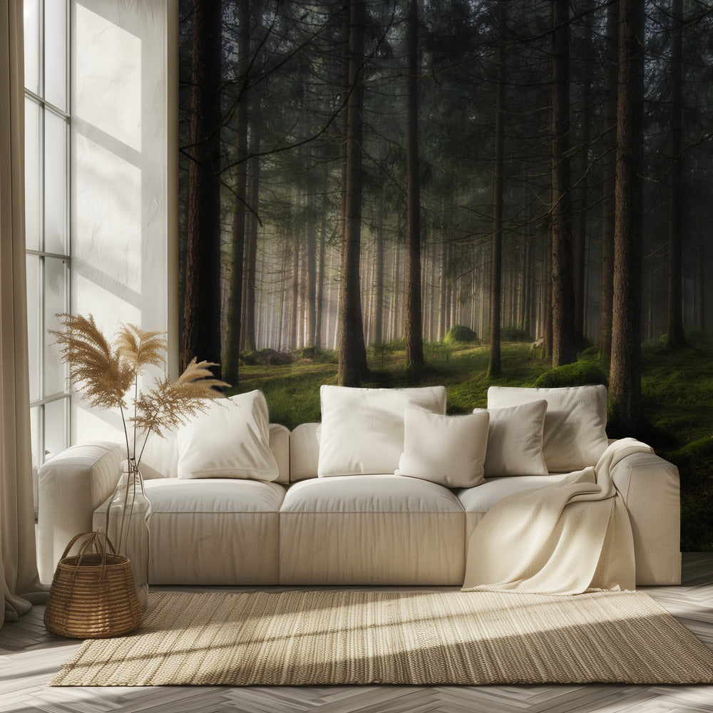 A sense of spring | Wallpaper