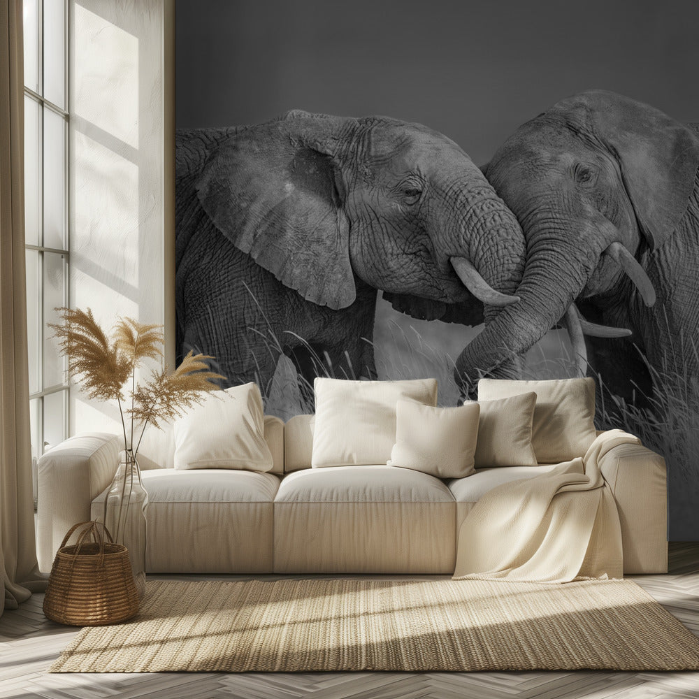 Elephant Flight | Wallpaper