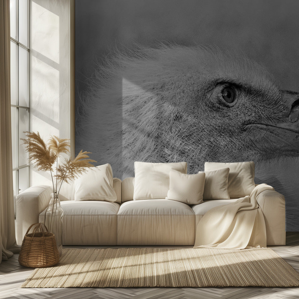 Bald eagle | Wallpaper