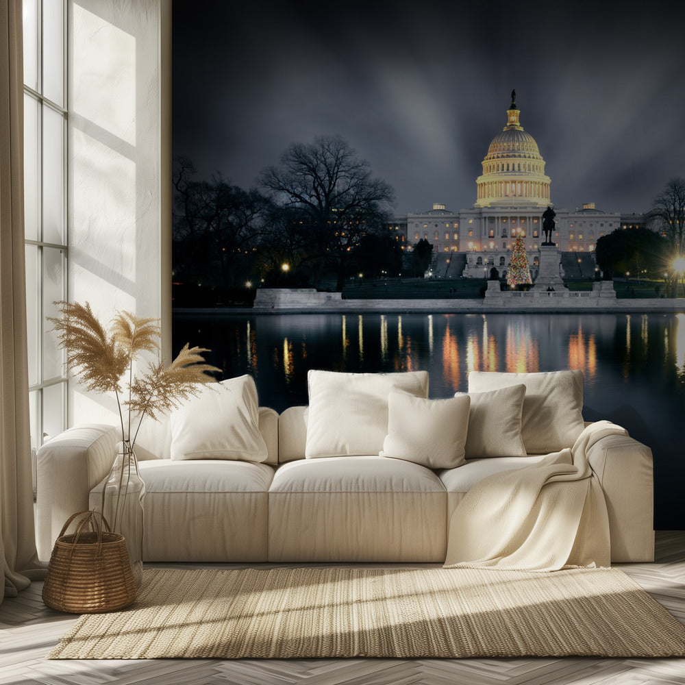 Captitol Hill | Wallpaper