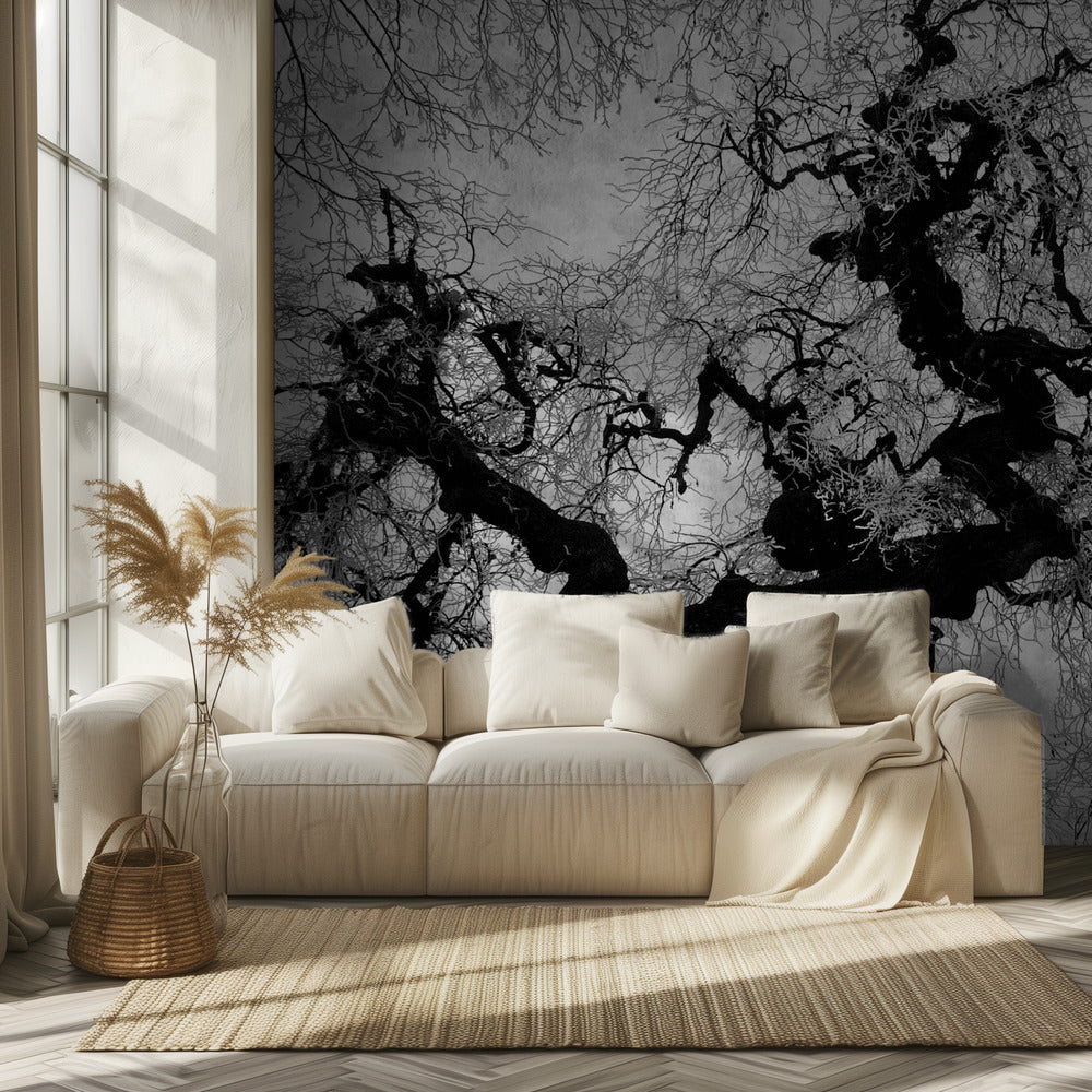 if on a winter's day | Wallpaper