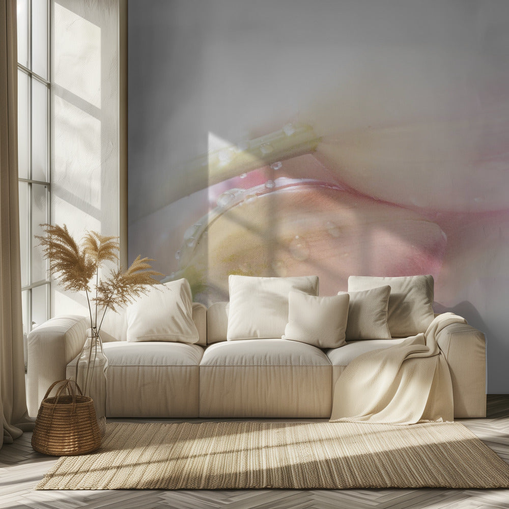 Touching | Wallpaper