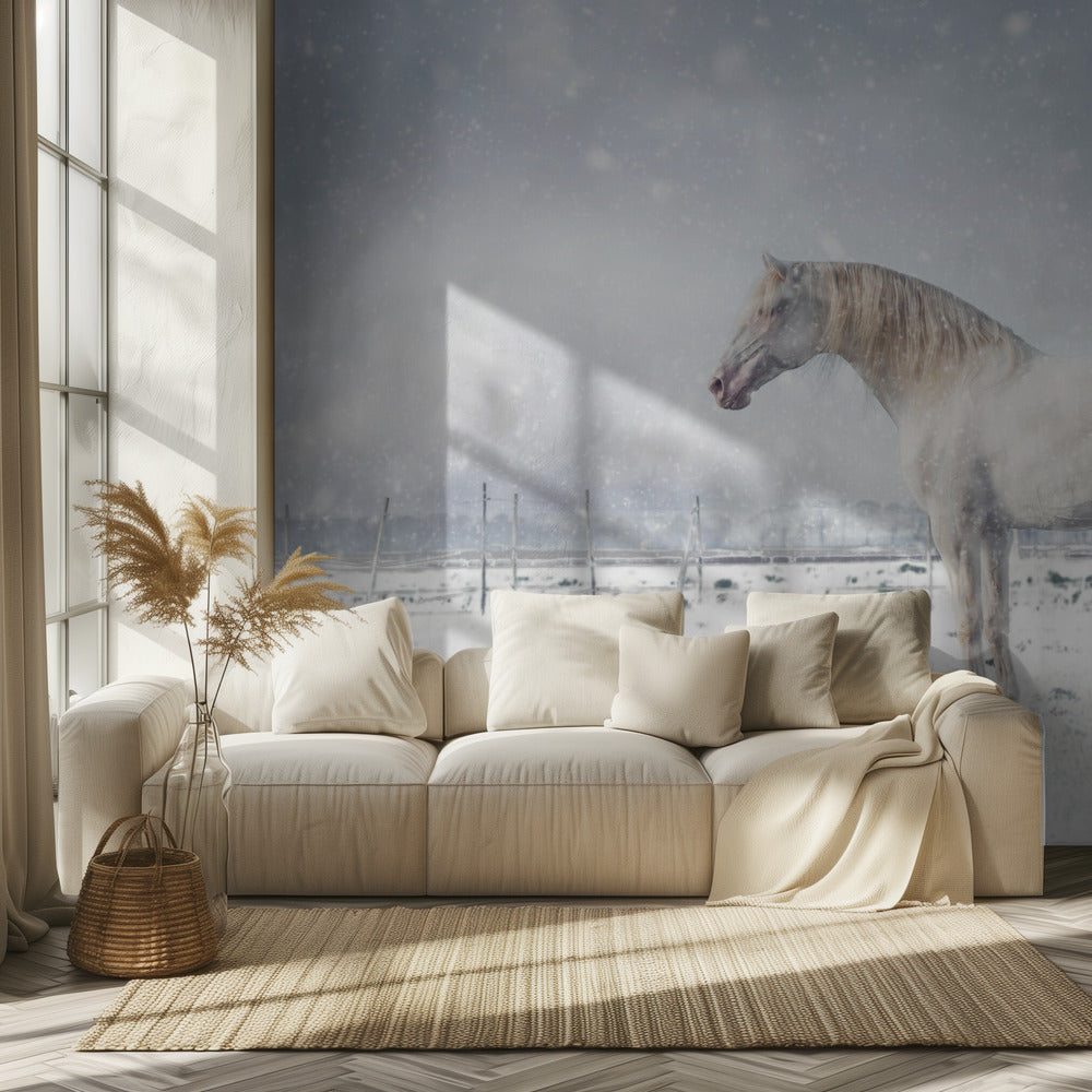 Let it snow... | Wallpaper