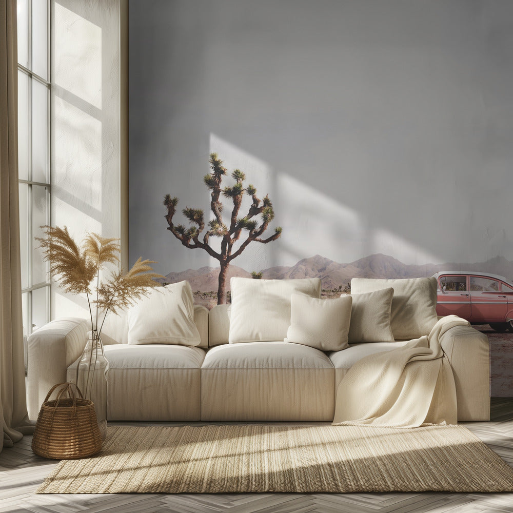 In the desert | Wallpaper