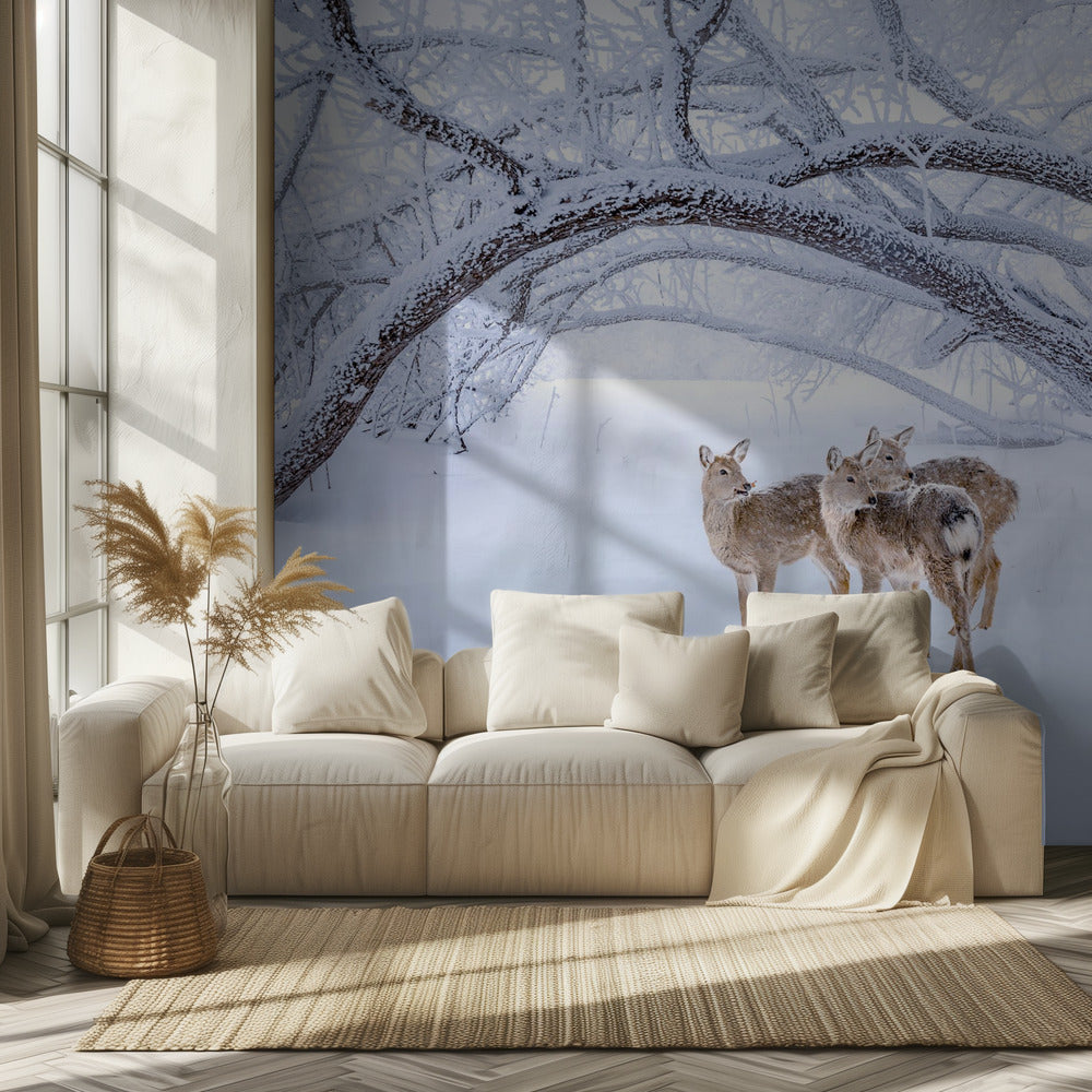 Deers' Walk in Snow | Wallpaper