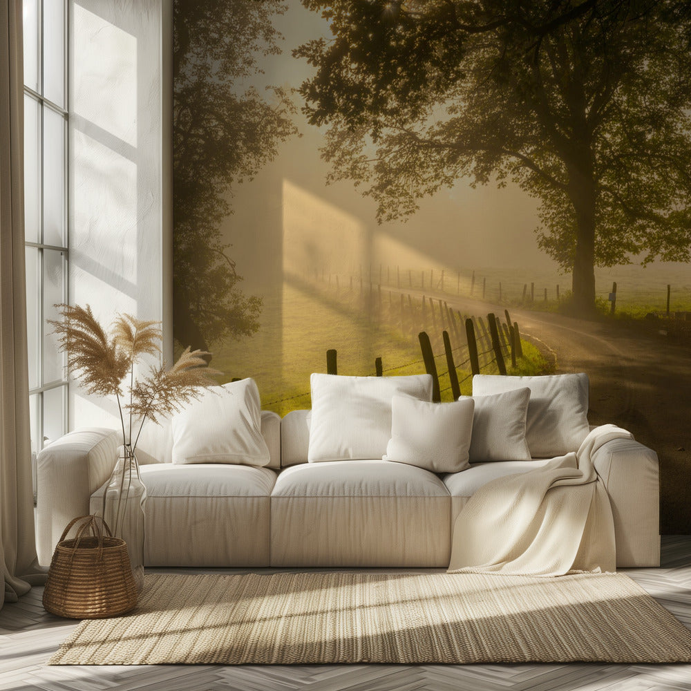 Morning walk | Wallpaper