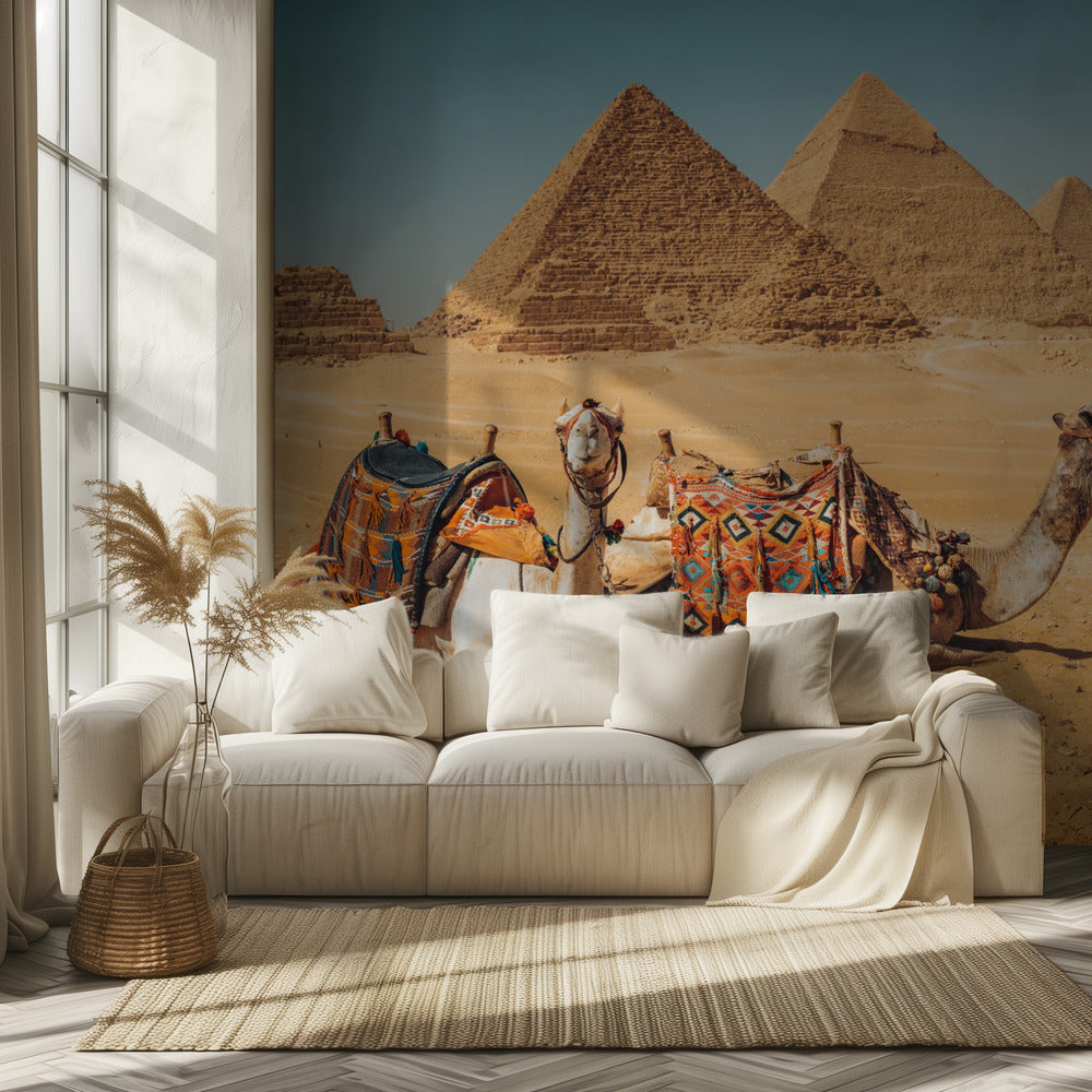 Visit to the pyramids | Wallpaper