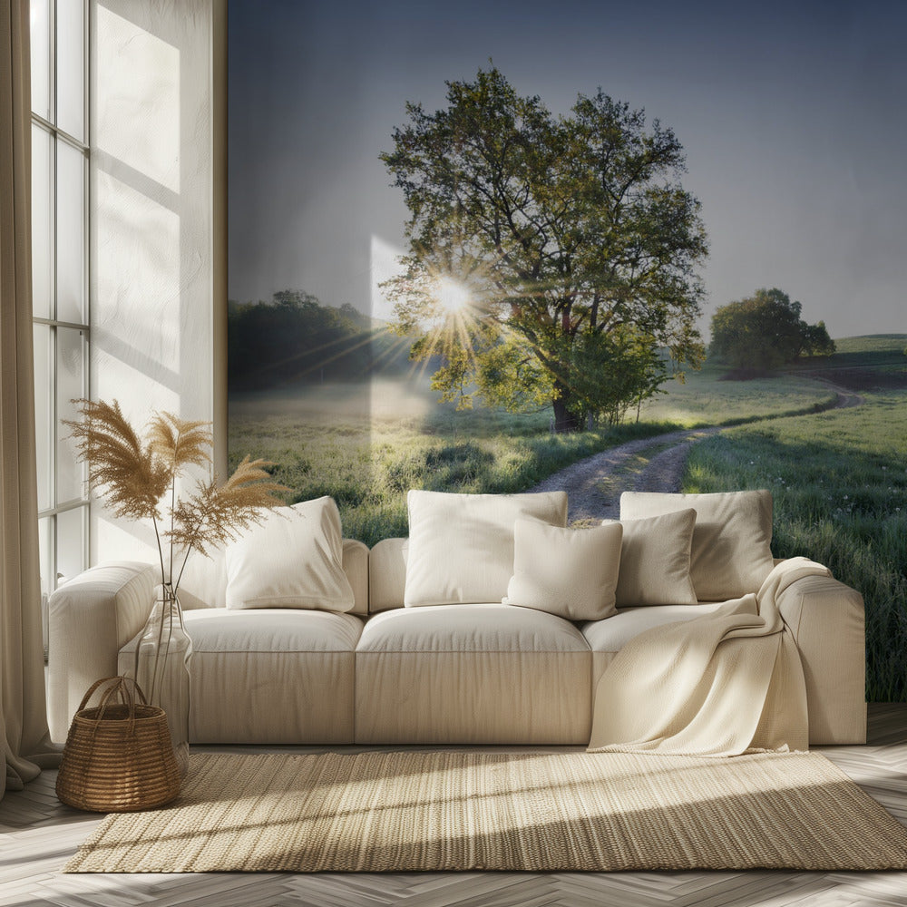 Spring Path | Wallpaper