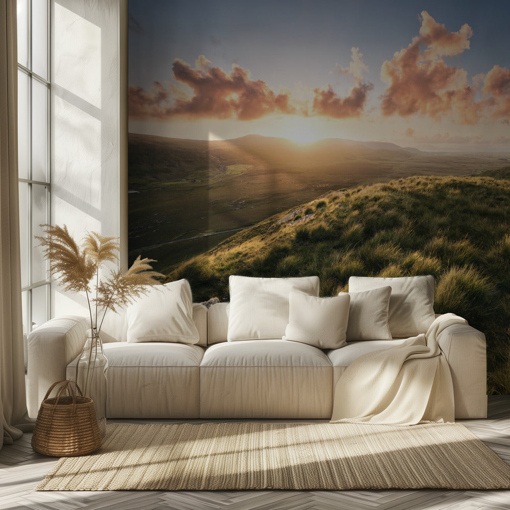 Soft Meadow | Wallpaper