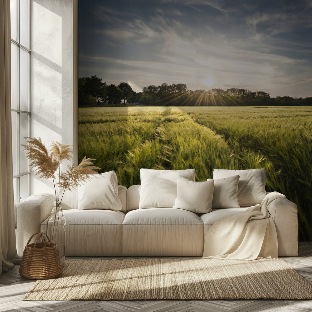 Barley Meadow | Wallpaper