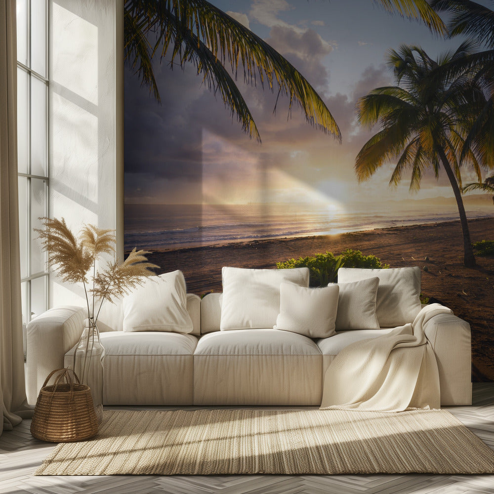 Good Morning Paradise | Wallpaper