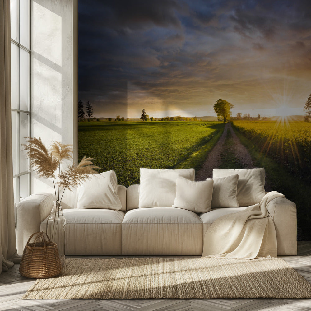 Summer Meadow | Wallpaper