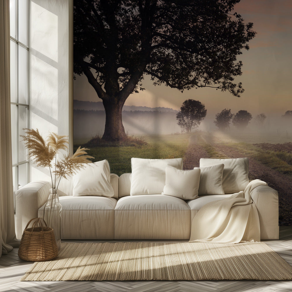 Mystic Path | Wallpaper