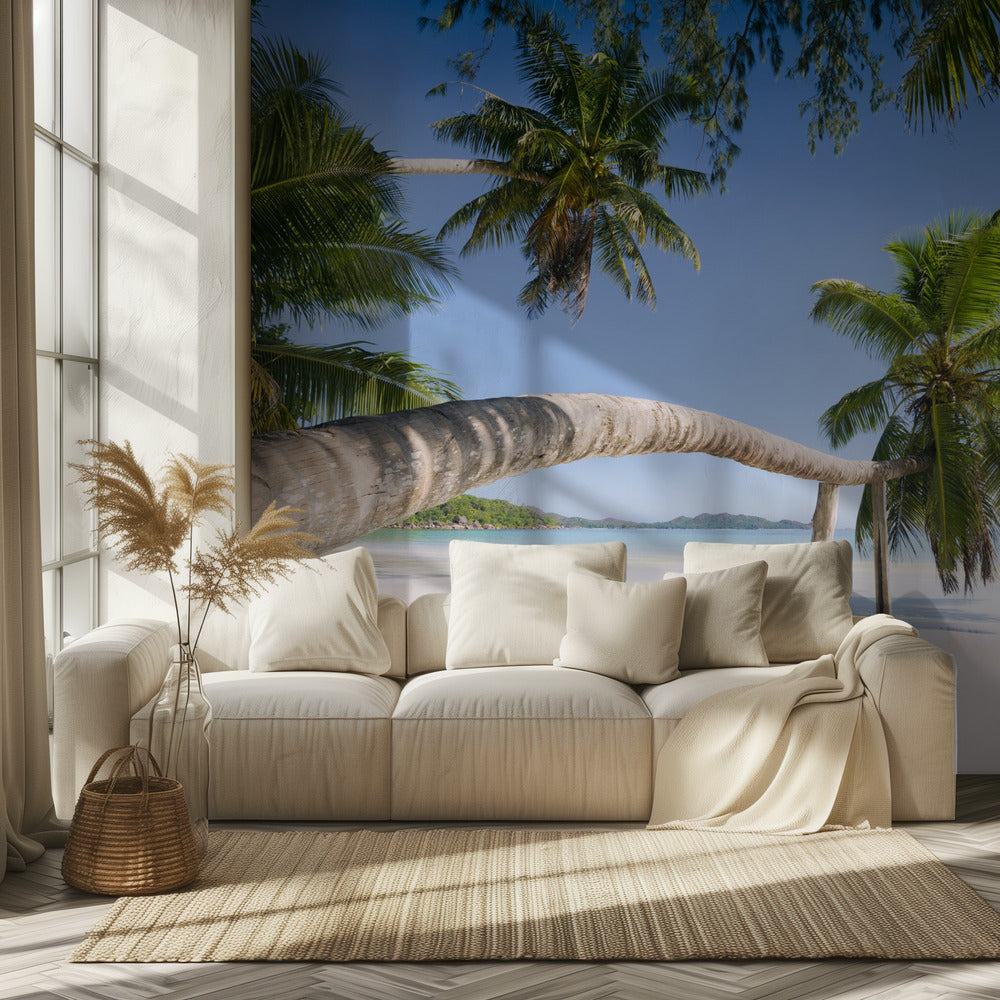 Tropical Palm | Wallpaper