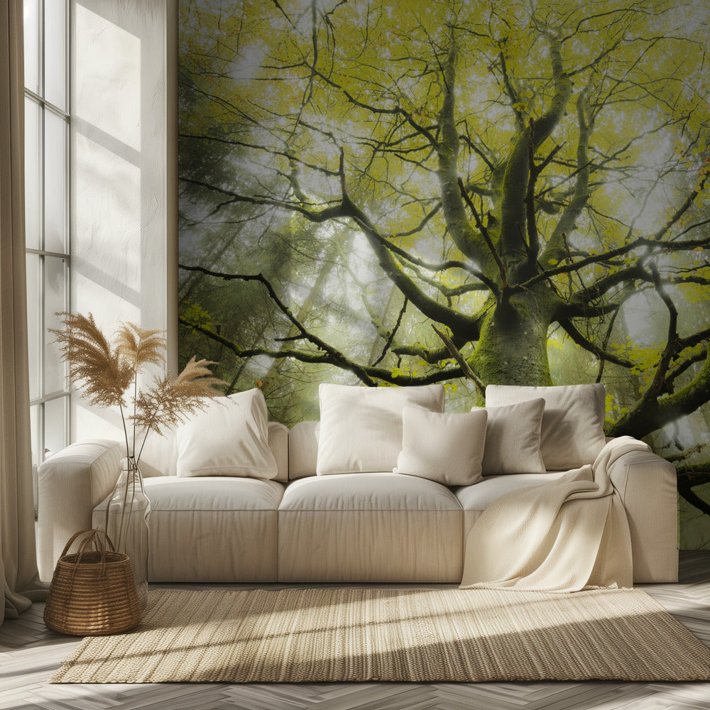 The Dream Tree | Wallpaper