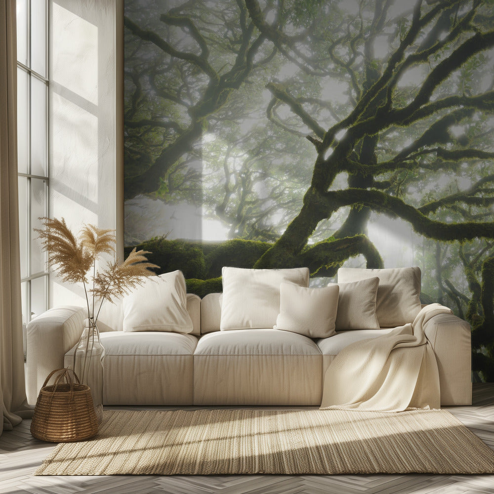 Magic Moment | Wallpaper