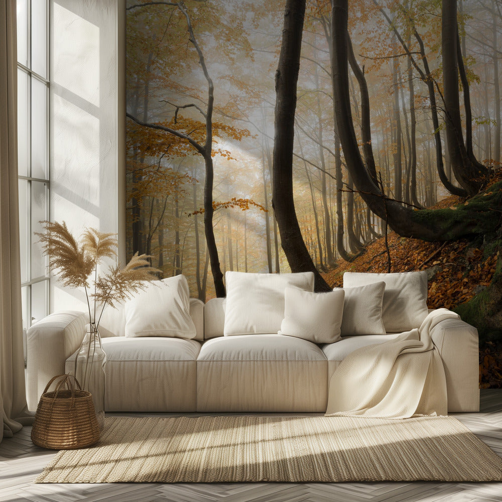Mystic Autumn Forest | Wallpaper