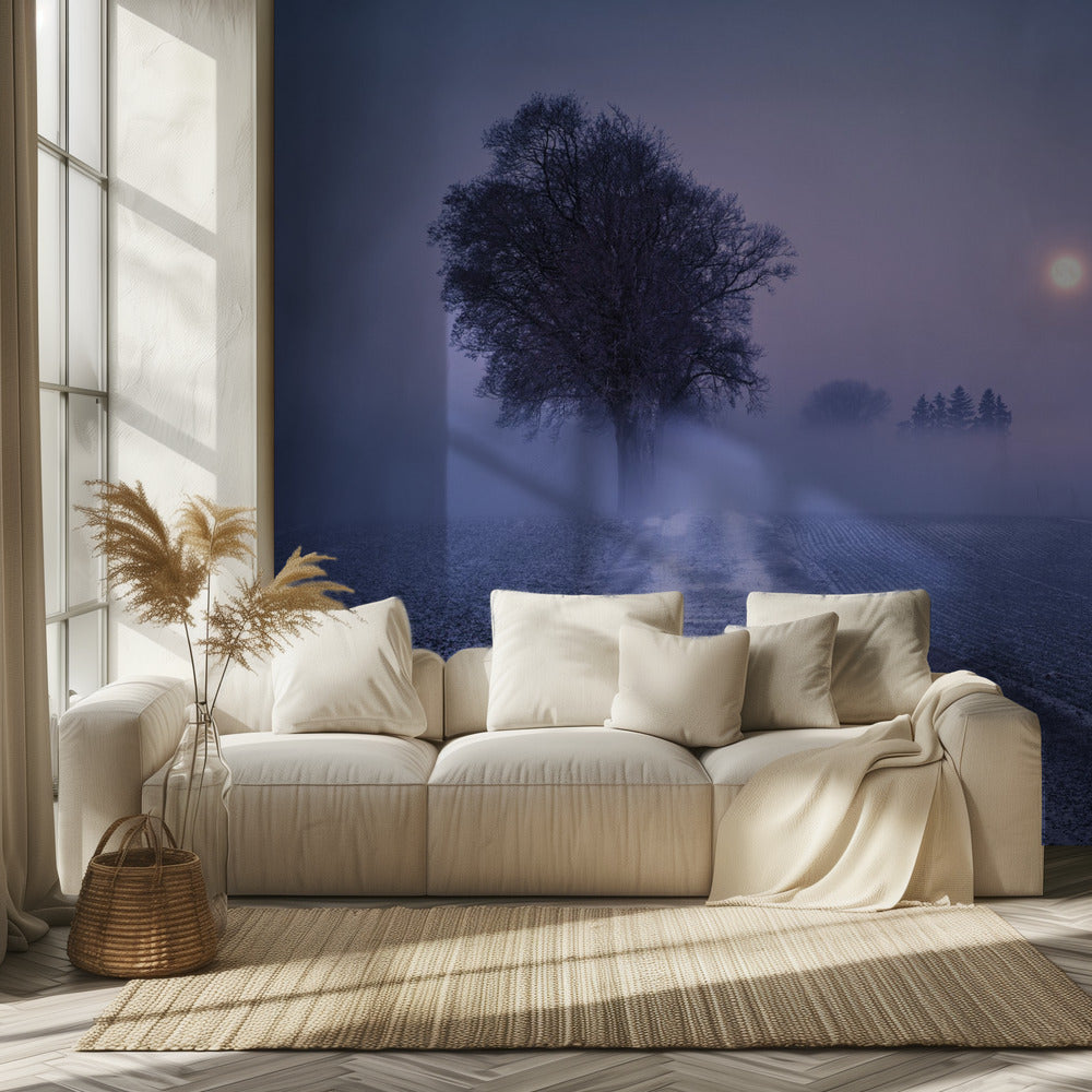 Moonlit Path | Wallpaper