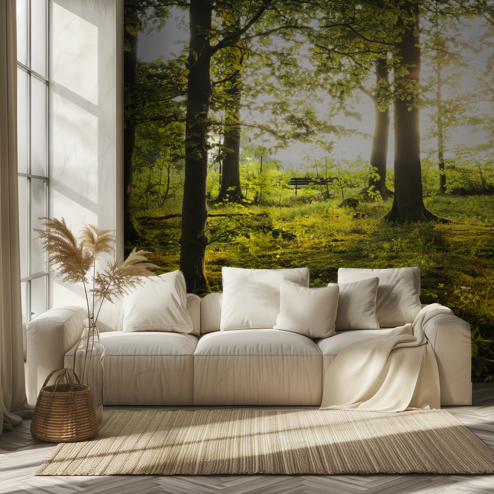 Summer in the Woods | Wallpaper