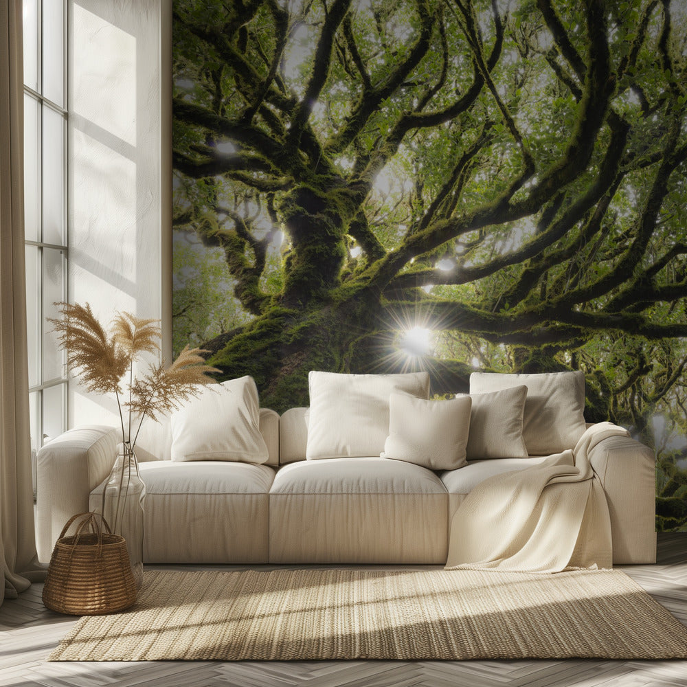 Green Star | Wallpaper