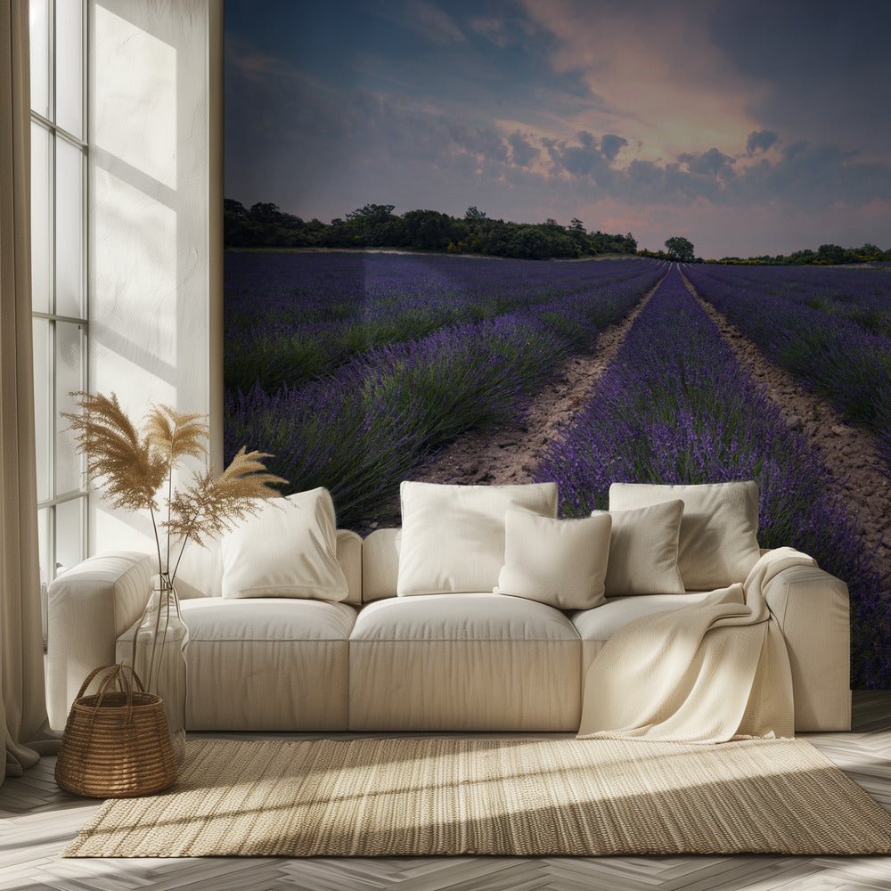 Blue Lavender | Wallpaper