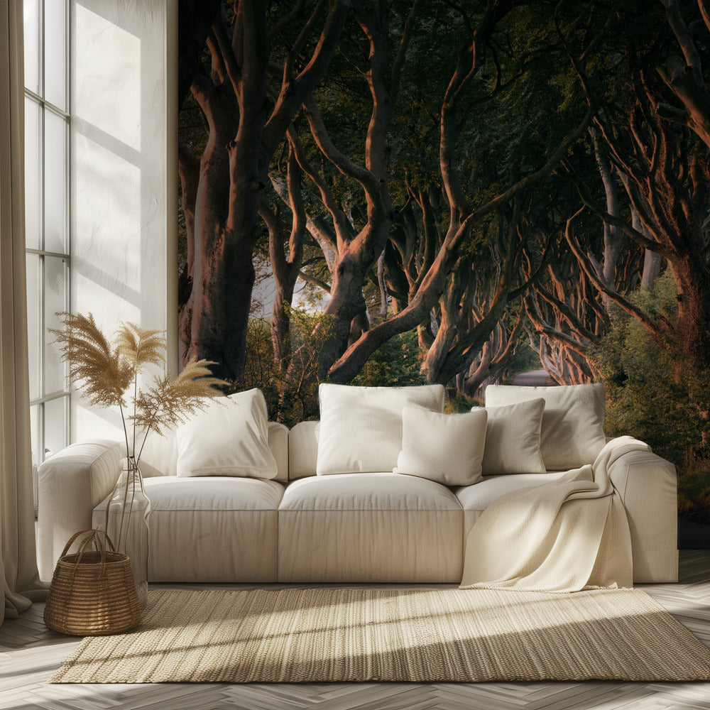 Red Avenue | Wallpaper