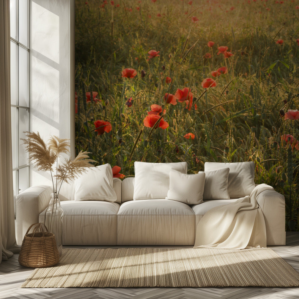 Poppy World II | Wallpaper