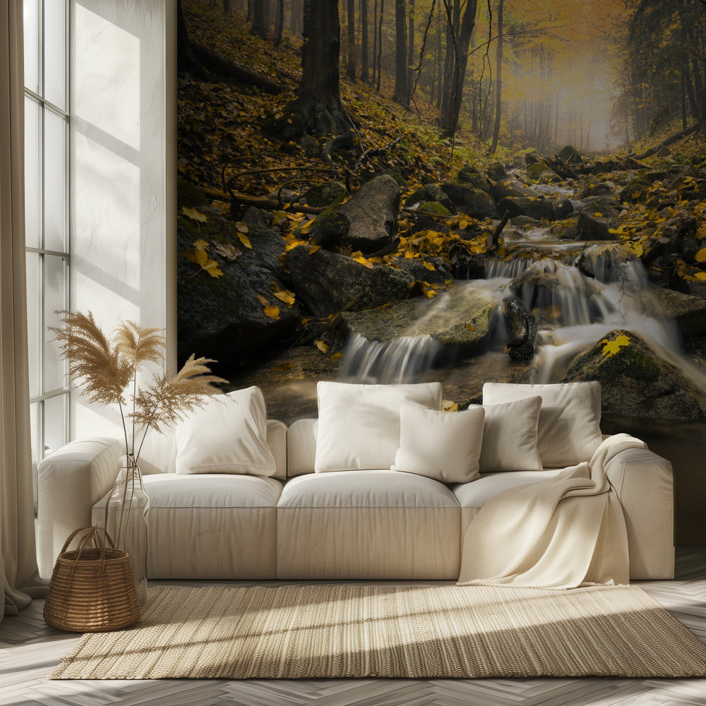 Autum Stream | Wallpaper
