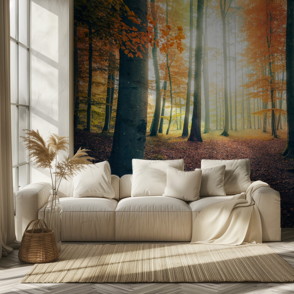Autumn in the Woods | Wallpaper