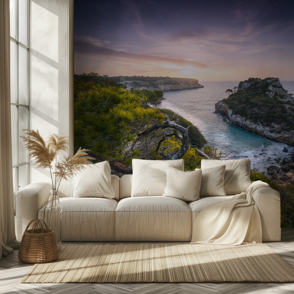 Baydreams | Wallpaper