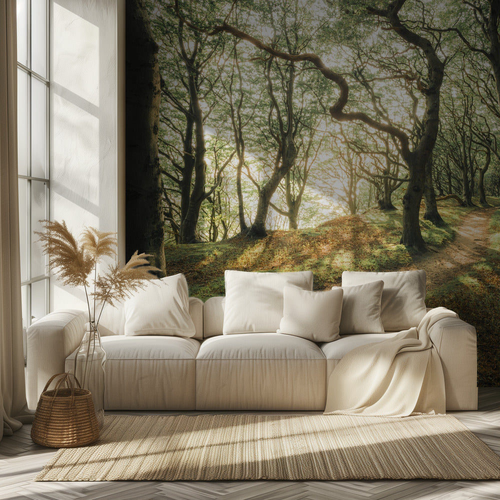 Magic Beech Wood | Wallpaper