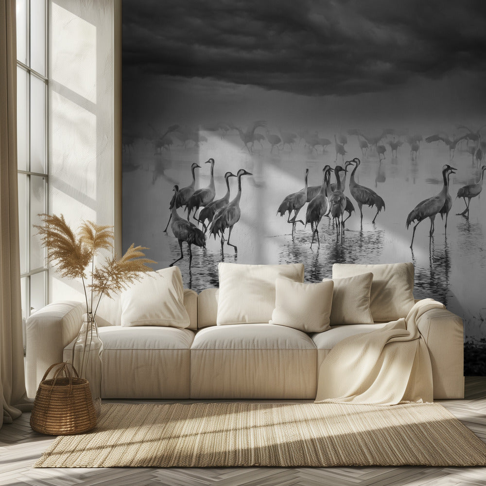 Sunrise on the lake | Wallpaper