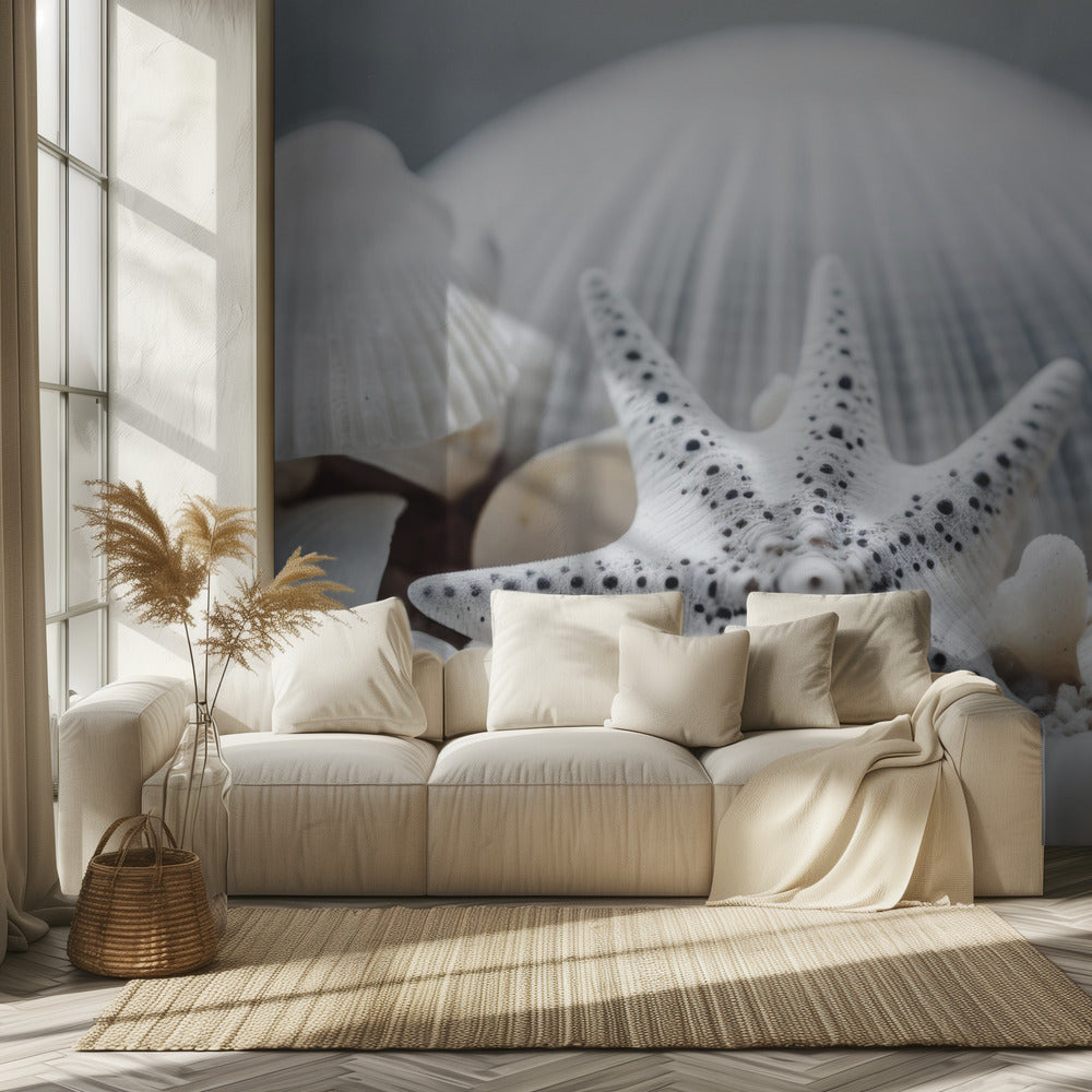 Seashell Symphony | Wallpaper