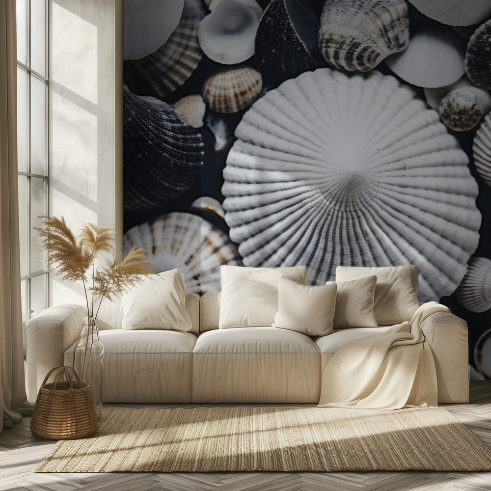 Shell Symphony | Wallpaper