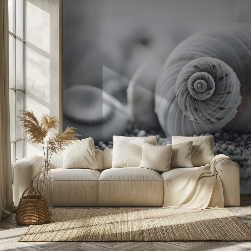 Seashell Serenity | Wallpaper