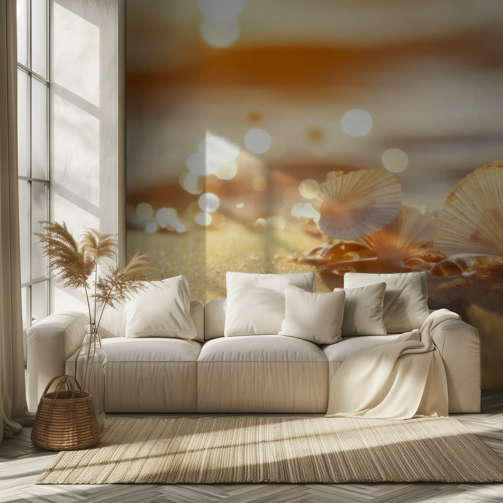 Sunlit Seashells | Wallpaper