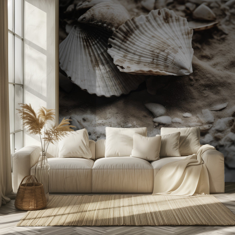 Seashell Serenity | Wallpaper