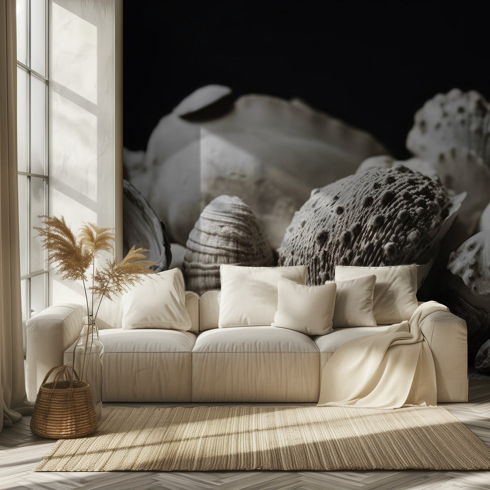 Shell Symphony | Wallpaper