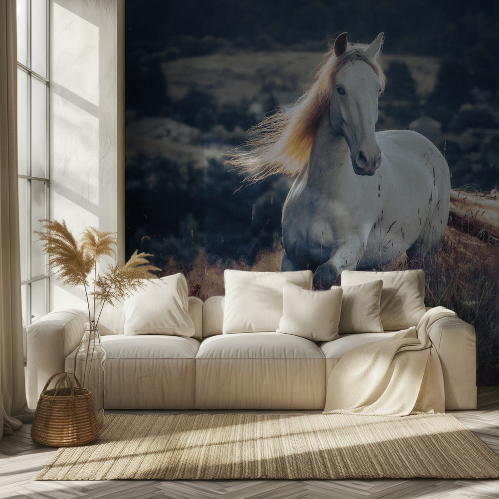 a short story about sunrise | Wallpaper