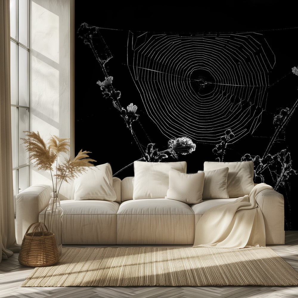 Spider Webs | Wallpaper