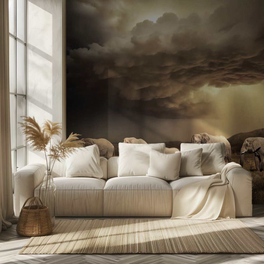 FreeElephants | Wallpaper