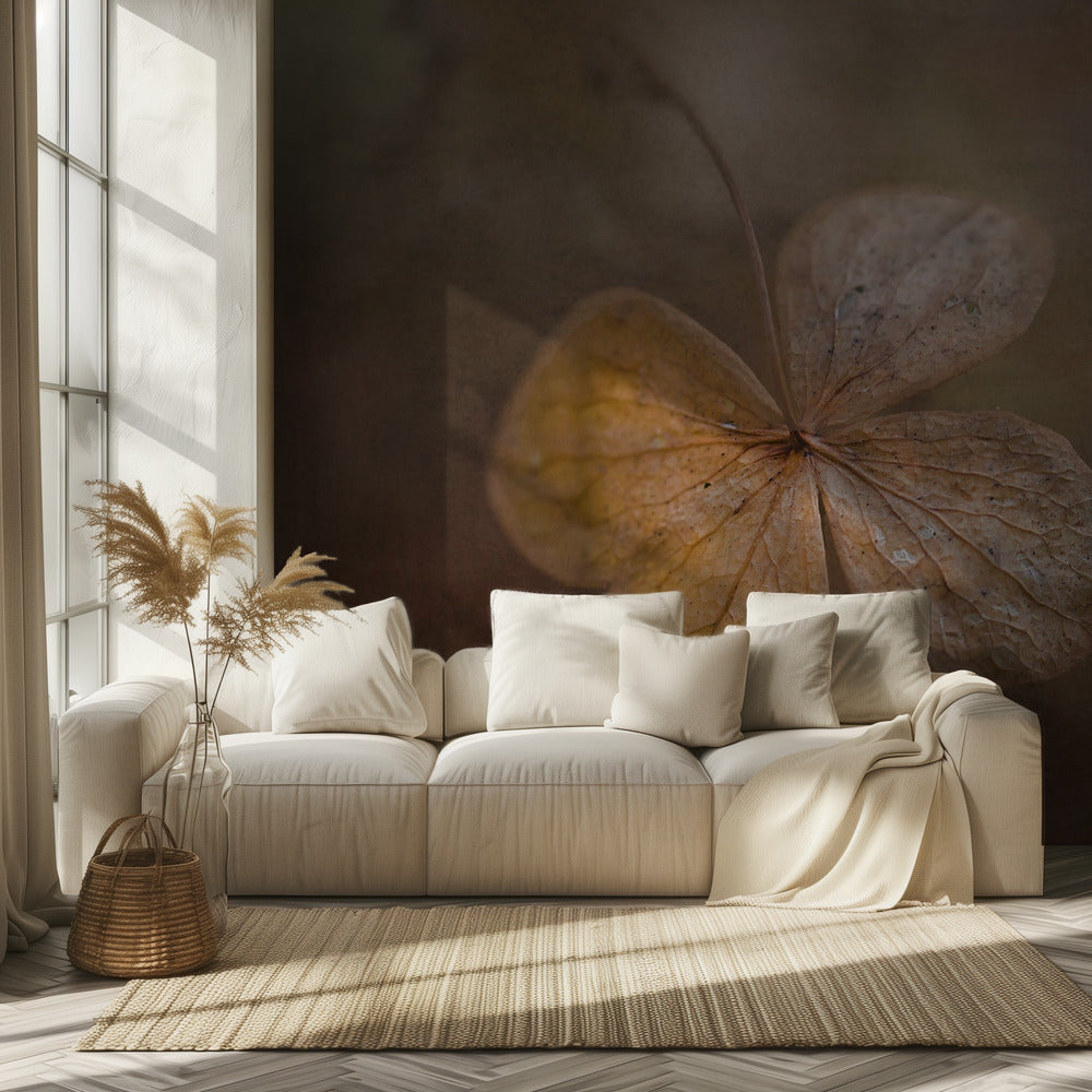 remains of the day | Wallpaper