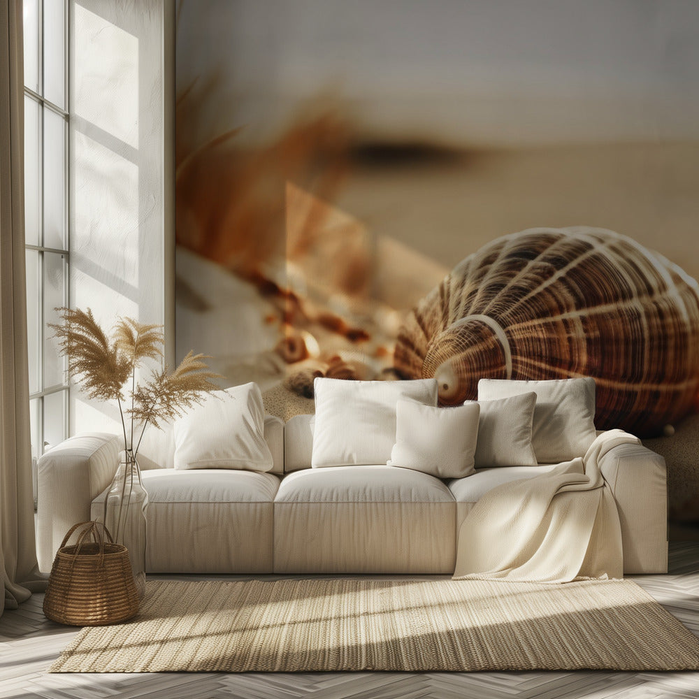 Dunes&#039; Silent Shells | Wallpaper