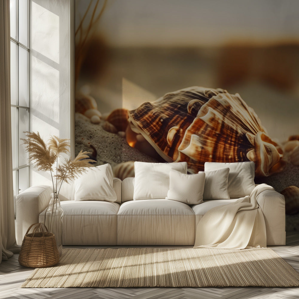 Shells at Sunset | Wallpaper