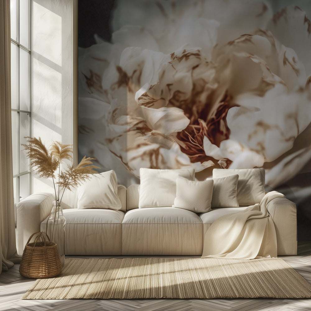 Petals of Serenity | Wallpaper