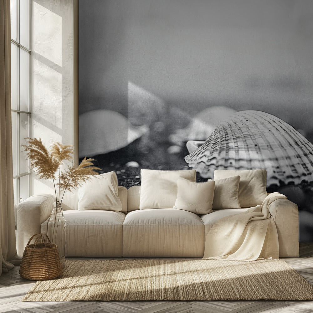 Seashell Serenity | Wallpaper