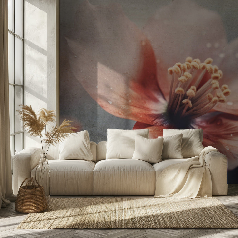 Petals of Serenity | Wallpaper