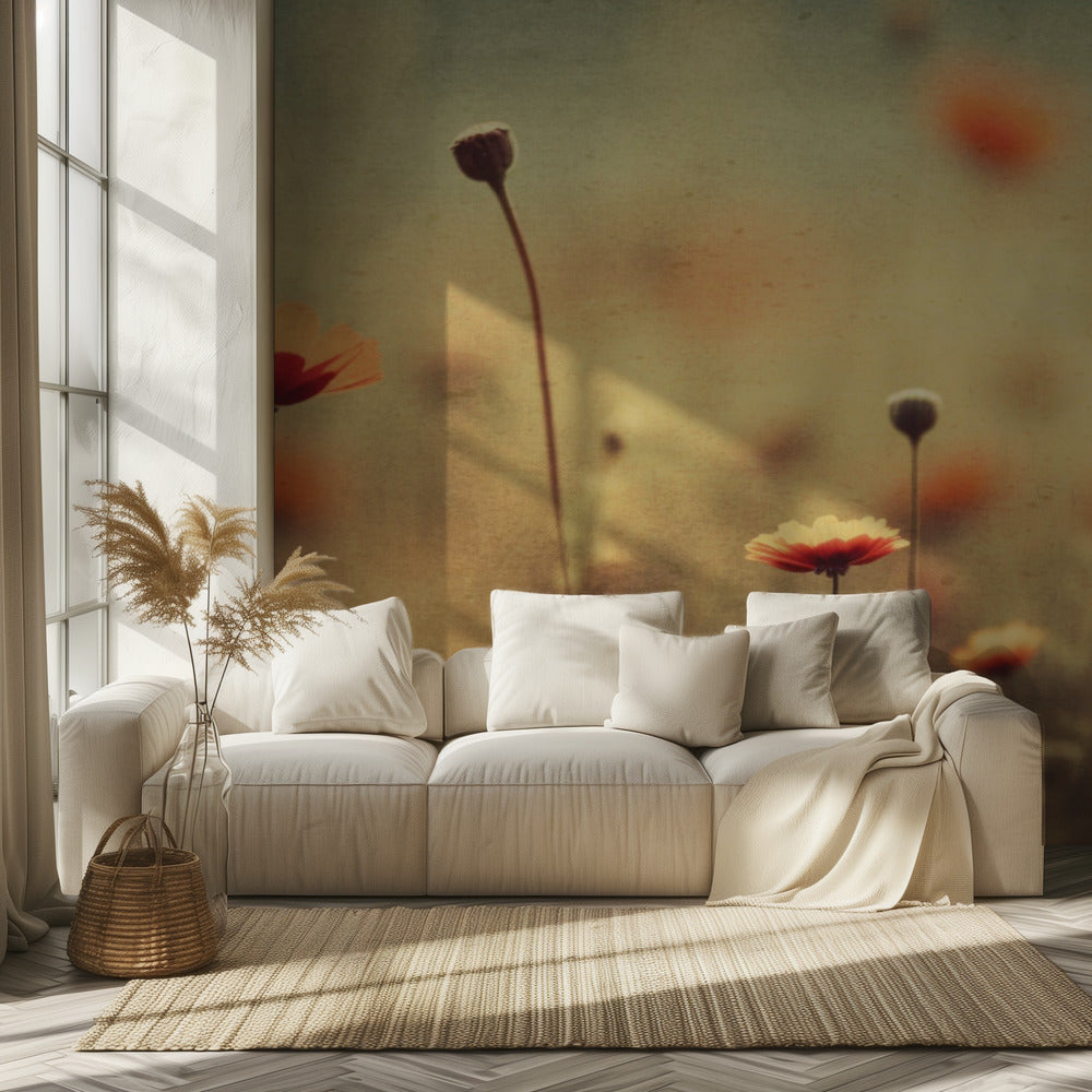 Whispering Poppies | Wallpaper